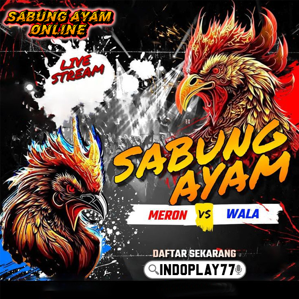 INDOPLAY77 $ Platform SV388 Sabung Ayam Online Arena Filipina